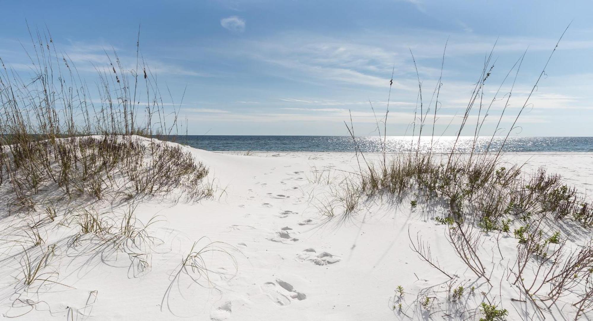 Nautilus 2408 Gulf View 2 Bedroom 4Th Floor Free Beach Service Fort Walton Beach Buitenkant foto