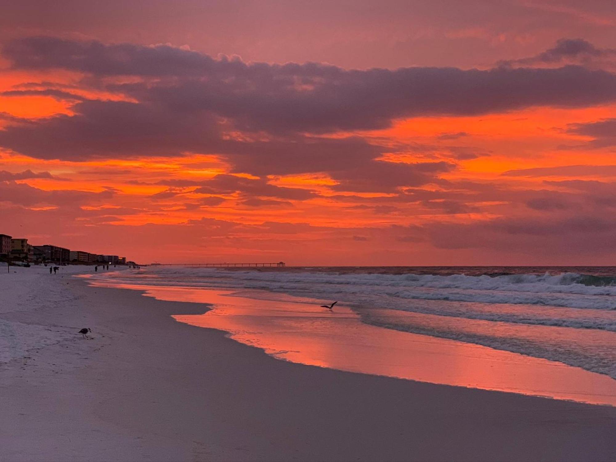 Nautilus 2408 Gulf View 2 Bedroom 4Th Floor Free Beach Service Fort Walton Beach Buitenkant foto
