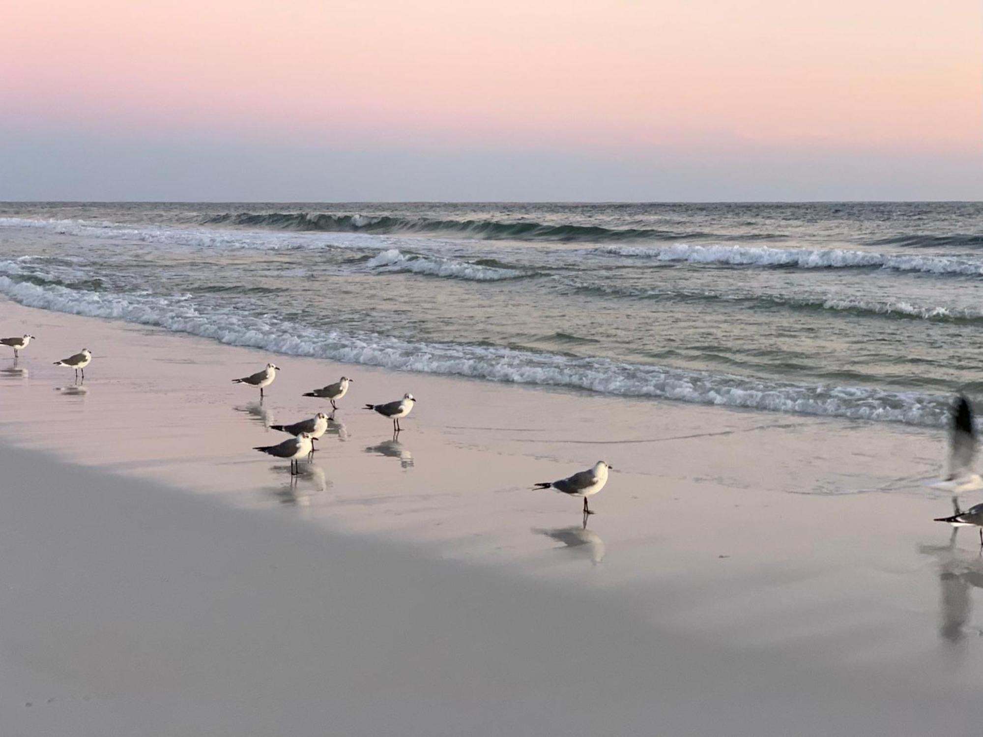 Nautilus 2408 Gulf View 2 Bedroom 4Th Floor Free Beach Service Fort Walton Beach Buitenkant foto