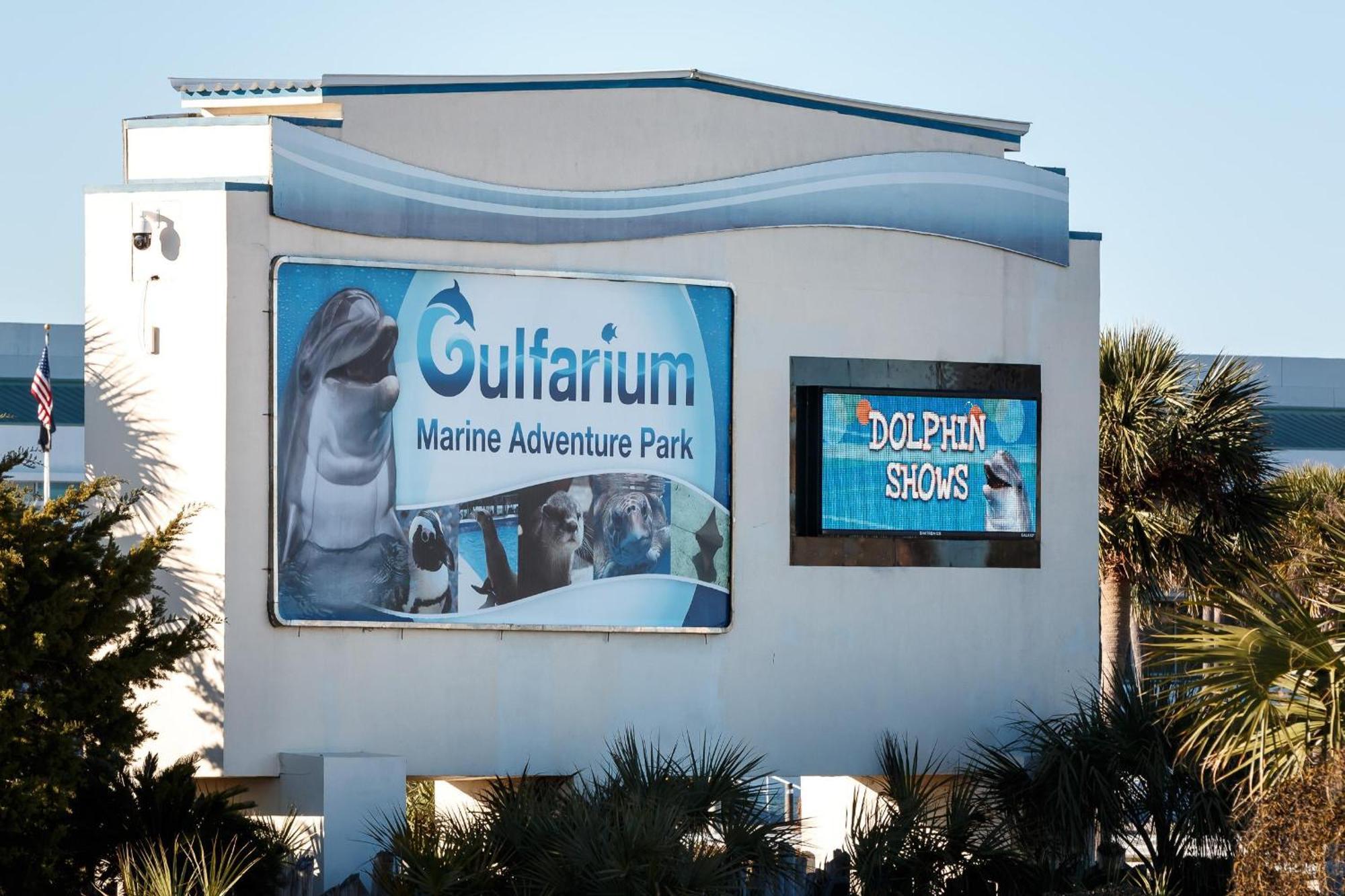 Nautilus 2408 Gulf View 2 Bedroom 4Th Floor Free Beach Service Fort Walton Beach Buitenkant foto