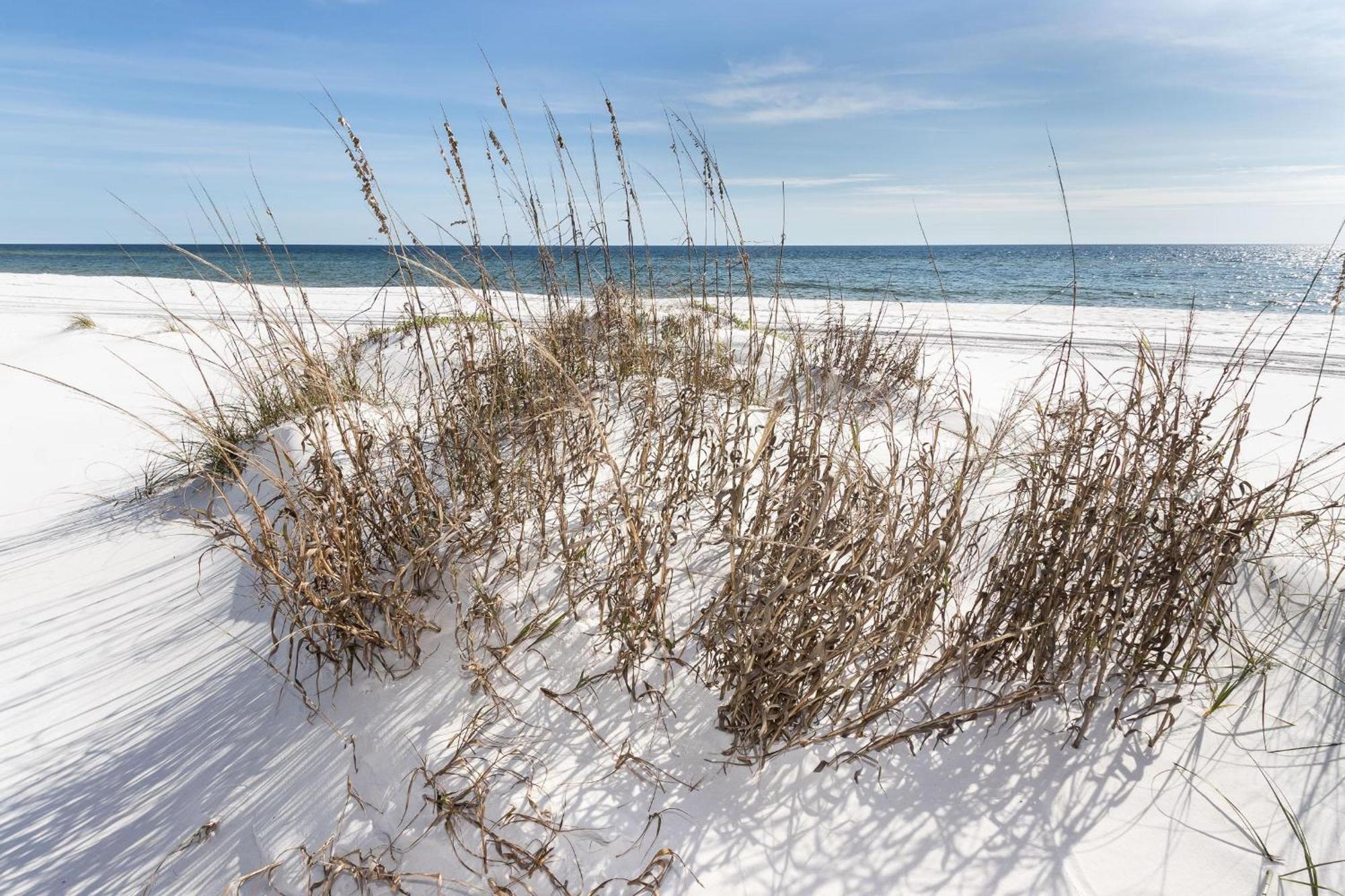 Nautilus 2408 Gulf View 2 Bedroom 4Th Floor Free Beach Service Fort Walton Beach Buitenkant foto